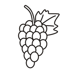 Grape - Easy coloring fruits Grape - Easy coloring fruits