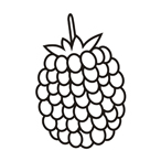 Raspberry- Easy coloring fruits Raspberry - Easy coloring fruits